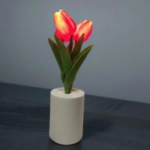 Screenshot 2026-02-19 133806